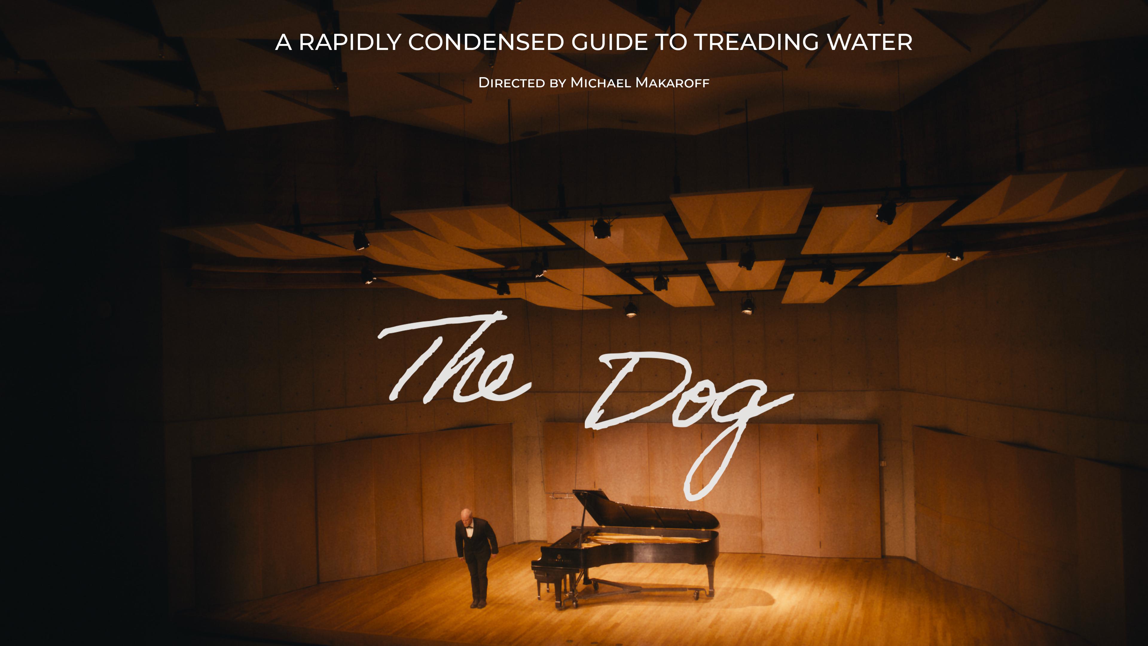 The Dog - A Rapidly Condensed Guide to Treading Water